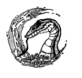 WAKE SNAKE logo