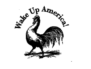 WAKE UP AMERICA! logo