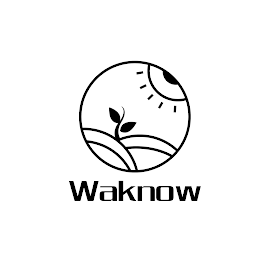 WAKNOW logo