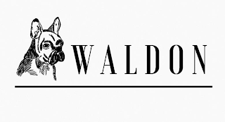 WALDON logo