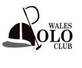WALES POLO CLUB logo