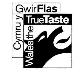 WALES THE TRUE TASTE (CYMRU Y GWIR FLAS) logo