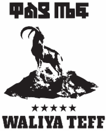 WALIYA TEFF