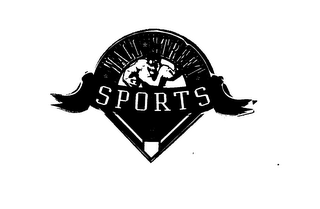WALL STREET SPORTS EST. 1994 logo