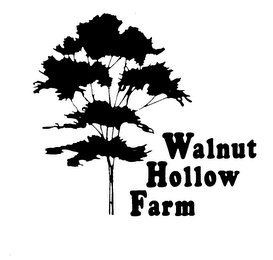 WALNUT HOLLOW FARM logo