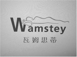 WAMSTEY logo