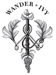 WANDER + IVY logo