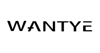 WANTYE logo