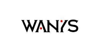 WANYS logo