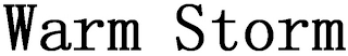 WARM STORM logo
