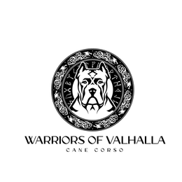 WARRIORS OF VALHALLA CANE CORSO KENNELS logo