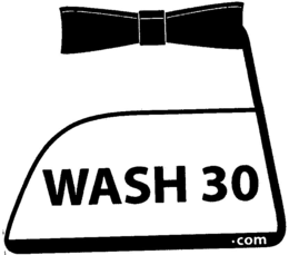 WASH 30.COM logo