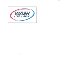 WASH LIKE A PRO PROFESSIONAL RESULTS · EVERY WASH logo