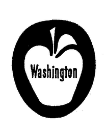 WASHINGTON logo