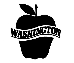 WASHINGTON logo