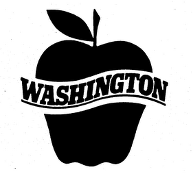 WASHINGTON logo