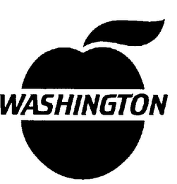 WASHINGTON logo
