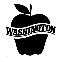 WASHINGTON logo