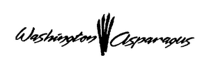 WASHINGTON ASPARAGUS logo