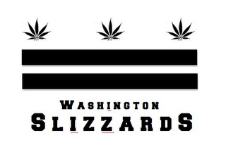 WASHINGTON SLIZZARDS logo