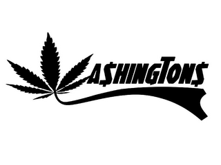 WASHINGTONS logo