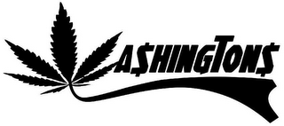 WASHINGTONS logo