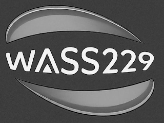 WASS229 logo