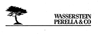 WASSERSTEIN PERELLA & CO logo
