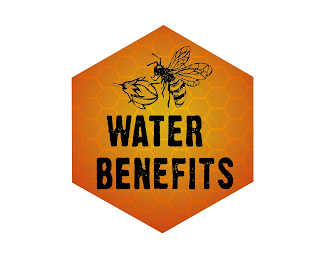 WATER BENEFITS logo