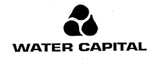 WATER CAPITAL logo