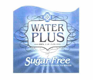 WATER PLUS DZL GEAR SUGAR FREE VITAMIN ENHANCED WATER logo