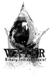 WATER SIMPLY INDISPENSABLE! logo