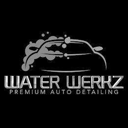 WATER WERKZ PREMIUM AUTO DETAILING logo