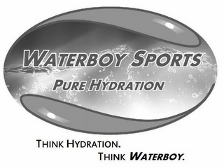 WATERBOY SPORTS PURE HYDRATION THINK HYDRATION. THINK WATERBOY. logo