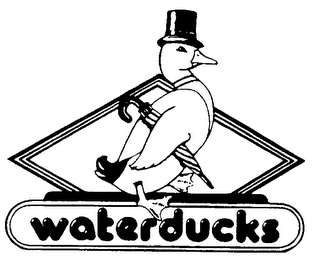WATERDUCKS logo