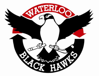 WATERLOO BLACK HAWKS logo