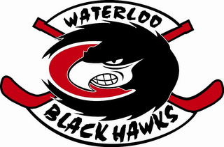 WATERLOO BLACK HAWKS logo