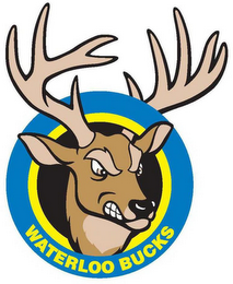 WATERLOO BUCKS logo