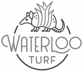 WATERLOO TURF