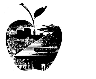 WAUSAU logo