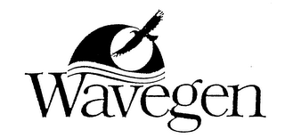 WAVEGEN logo