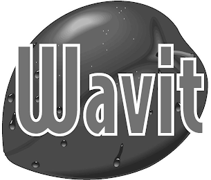 WAVIT logo
