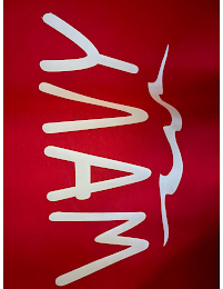 WAVY logo