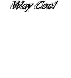 WAY COOL logo