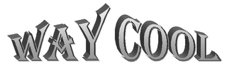 WAY COOL logo