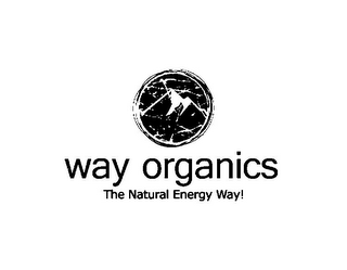 WAY ORGANICS THE NATURAL ENERGY WAY! logo