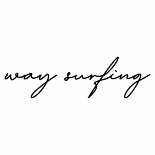 WAY SURFING logo