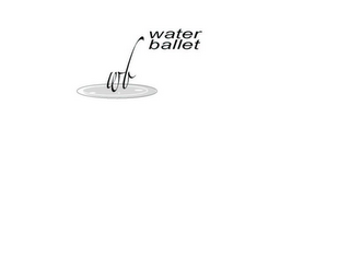 WB WATER BALLET logo