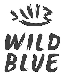 WB WILD BLUE logo