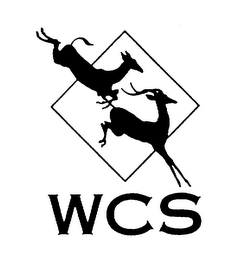 WCS & DESIGN